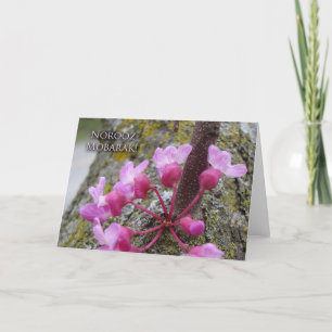 Norooz, Redbud Tree in Bloom, Spring Photograph Card