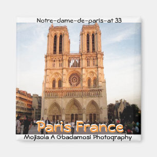 Norte-dame-de-paris-at 33 (Mojisola A Gbadamosi) Magnet