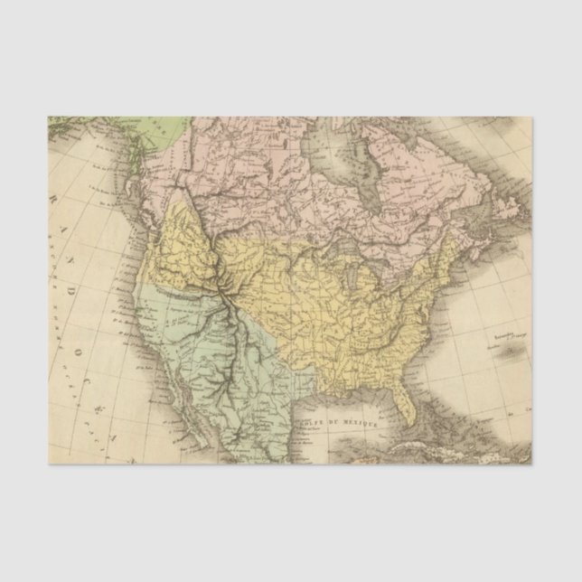 North America 20 2 Tissue Paper (Front)