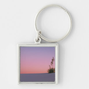 North America, America, New Mexico, White Key Ring