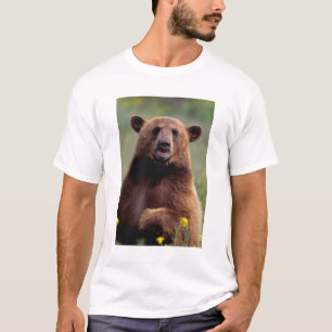 North America, California, cinnamon Black bear T-Shirt