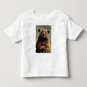 North America, California, cinnamon Black bear Toddler T-Shirt