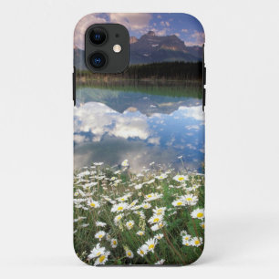 North America, Canada, Alberta, Banff National 2 iPhone 11 Case