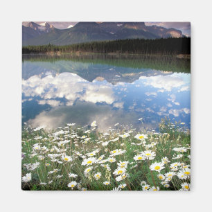 North America, Canada, Alberta, Banff National 2 Magnet