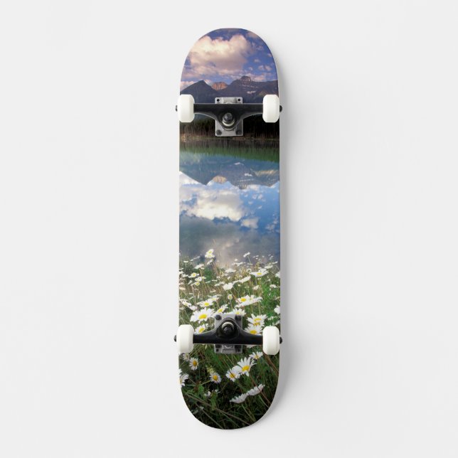 North America, Canada, Alberta, Banff National 2 Skateboard (Front)