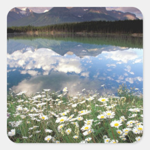 North America, Canada, Alberta, Banff National 2 Square Sticker