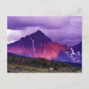 North America, Canada, Alberta, Canadian Postcard