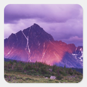 North America, Canada, Alberta, Canadian Square Sticker