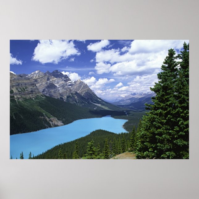 North America, Canada, Alberta, Jasper 6 Poster (Front)