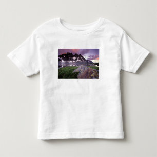 North America, Canada, Alberta, Jasper Toddler T-Shirt