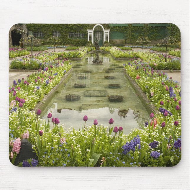 North America, Canada, British Columbia, 4 Mouse Pad (Front)