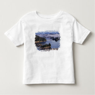 North America, Canada, British Columbia, Johnson Toddler T-Shirt