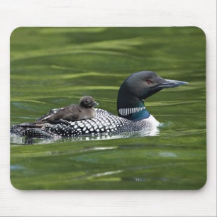 North America, Canada, British Columbia, Lac Le Mouse Pad