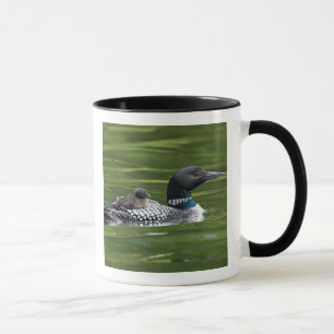North America, Canada, British Columbia, Lac Le Mug