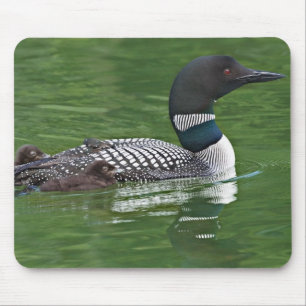 North America, Canada, British Columbia Mouse Pad
