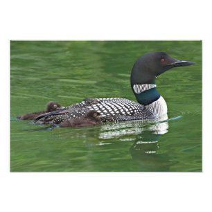 North America, Canada, British Columbia Photo Print