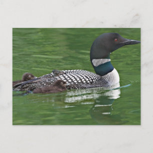 North America, Canada, British Columbia Postcard