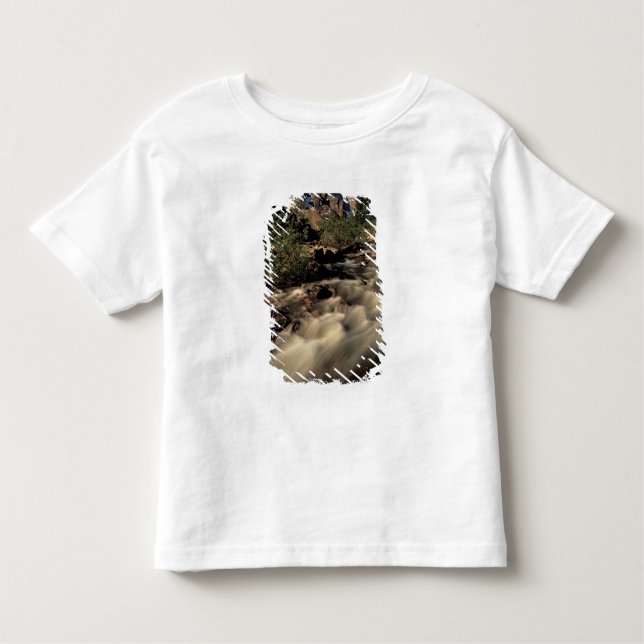 North America, Canada, Canadian Rockies, Banff Toddler T-Shirt (Front)