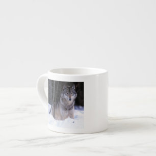 North America, Canada, Eastern Canada, Grey wolf Espresso Cup