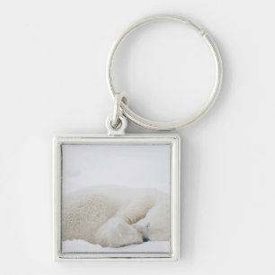 North America, Canada, Manitoba, Churchill. 3 Key Ring