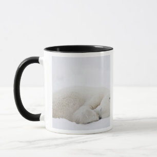 North America, Canada, Manitoba, Churchill. 3 Mug