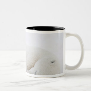 North America, Canada, Manitoba, Churchill. 3 Two-Tone Coffee Mug