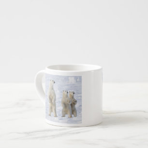 North America, Canada, Manitoba, Churchill. 5 Espresso Cup