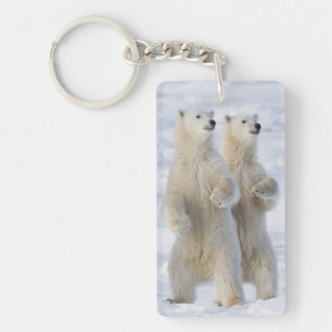 North America, Canada, Manitoba, Churchill. 5 Key Ring