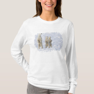 North America, Canada, Manitoba, Churchill. 5 T-Shirt