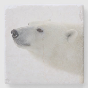 North America, Canada, Manitoba, Churchill. 6 Stone Coaster