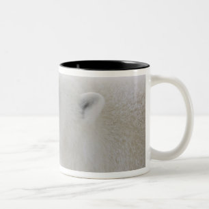 North America, Canada, Manitoba, Churchill. 6 Two-Tone Coffee Mug