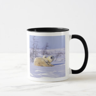 North America, Canada, Manitoba, Churchill. 9 Mug