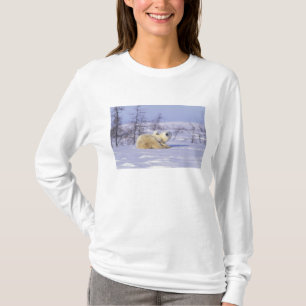North America, Canada, Manitoba, Churchill. 9 T-Shirt