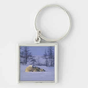 North America, Canada, Manitoba, Churchill Key Ring
