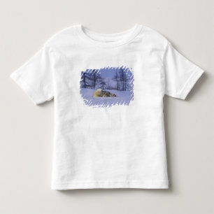 North America, Canada, Manitoba, Churchill Toddler T-Shirt