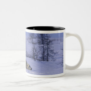 North America, Canada, Manitoba, Churchill Two-Tone Coffee Mug