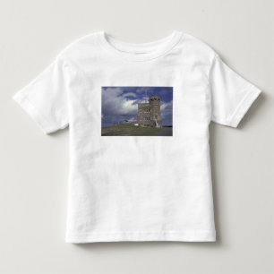 North America, Canada, Newfoundland, St. John's. Toddler T-Shirt