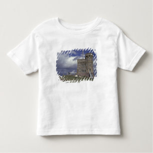 North America, Canada, Newfoundland, St. John's. Toddler T-Shirt
