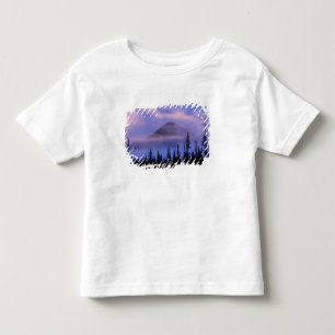 North America, Canada, Northwest Territories, Toddler T-Shirt