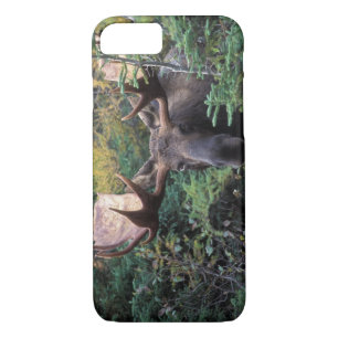North America, Canada, Nova Scotia, Cape Breton iPhone 8/7 Case