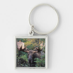 North America, Canada, Nova Scotia, Cape Breton Key Ring