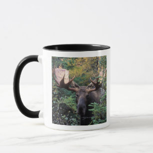North America, Canada, Nova Scotia, Cape Breton Mug
