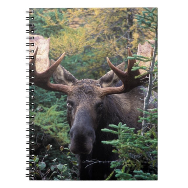 North America, Canada, Nova Scotia, Cape Breton Notebook (Front)