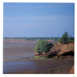North America, Canada, Nova Scotia, Economy, Bay Ceramic Tile
