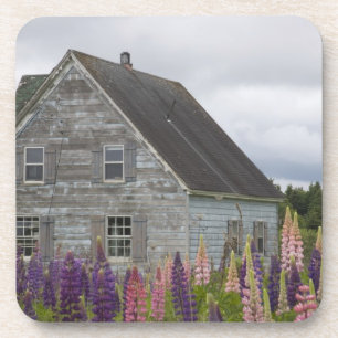 North America, Canada, Prince Edward Island, Coaster