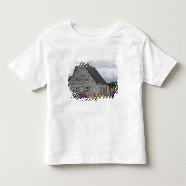 North America, Canada, Prince Edward Island, Toddler T-Shirt (Front)