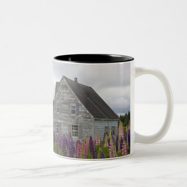 North America, Canada, Prince Edward Island, Two-Tone Coffee Mug (Right)
