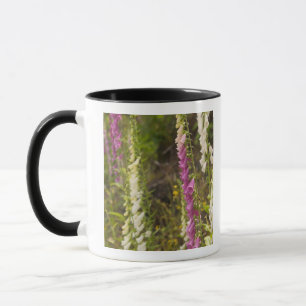 North America, Canada, Queen Charlotte Islands, 2 Mug