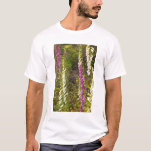 North America, Canada, Queen Charlotte Islands, 2 T-Shirt