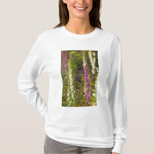 North America, Canada, Queen Charlotte Islands, 2 T-Shirt
